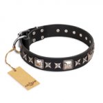 'Space Walk' FDT Artisan Black Leather Dog Collar with Adornments for Mastiff Walking