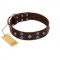 "Skull Valley" Handcrafted FDT Artisan Brown Leather Mastiff Collar with Skulls