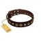 "Street Fashion" FDT Artisan Brown Leather Mastiff Collar Adorned with Circles and Skulls