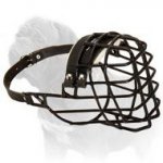 Adorable Wire Cage Mastiff Dog Muzzle with Black Rubber Coated Wires - Best for Winter Season
