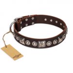 "Pierian spring" FDT Artisan Brown Leather Mastiff Collar with Silvery Decorations