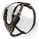 Mastiff Studded Leather Dog Harness with Pyramids