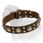 'Silver Knights' Mastiff Dog Collar