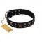 "Black Jack" Stylish Handmade FDT Artisan Black Leather Mastiff Collar