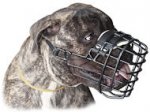 Bullmastiff Strong Metal Wire Muzzle for winter