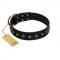 "Flower Rhapsody" FDT Artisan Premium Quaulity Black Leather Mastiff Collar