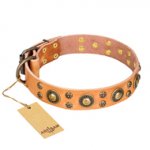 'Sophisticated Glamor' FDT Artisan Tan Leather Mastiff Collar with Fancy Old-Bronze Plated Decorations