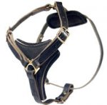Latigo Adjustable Harness-Mastiff Leather Harness