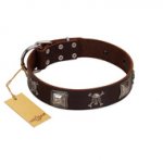 "Nut-Brown Finery" Embellished FDT Artisan Brown Leather Mastiff Collar with Chrome Plated Crossbones and Plates