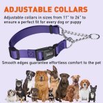 Biothane Adjustable Martingale Collar with Quick Release Buckle_1