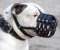 Everyday Light Weight Ventilation Argentinian Mastiff muzzle