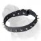 Elegant Spiked Dog Collar for Mastiff Walking and Exercising