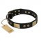 "Spanish night" FDT Artisan Fashionable Leather Walking Mastiff Collar