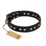 "Black Elegance" FDT Artisan Leather Mastiff Collar with Round Studs