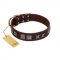 "Needle Stories" Modern FDT Artisan Brown Leather Mastiff Collar with Square Engraved Plates and Four-Point Stars