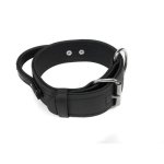 Biothane Agitation Collar with Handle Black_1