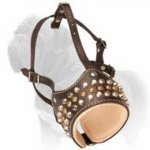 Comfortable Leather Dog Muzzle with Gorgeous Brass Decorative Sruds for Mastiff Dogs