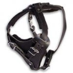 MASTIFF Control Dog Harness - H1