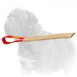 'Anywhere Training' Mastiff Dog Bite Tug