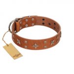 "Dreamy Gleam" FDT Artisan Tan Leather Mastiff Collar Adorned with Stars and Squares