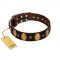 "Crystal Mirror" FDT Artisan Handmade Brown Leather Mastiff Collar - 1 1/2 inch (40 mm) Wide