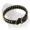 2 Rows Spiked Leather Mastiff Dog Collar