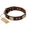 "Shining Armour" FDT Artisan Brown Leather Mastiff Collar with Decorations
