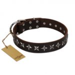 "Stars of Glory" FDT Artisan Brown Leather Mastiff Collar for Comfortable Walking