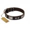 "Satin Beauts" FDT Artisan Brown Leather Mastiff Collar with Stars and Plates