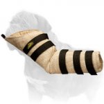 Snug Fit Mastiff Training Dog Hidden Sleeve