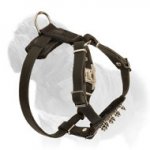 Leather Spiked Mastiff Dog Harness for First Walks