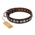 "Step and Sparkle" FDT Artisan Glamorous Studded Brown Leather Mastiff Collar