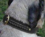 Handcrafted Leather Dog Collar for Mastiffs -Big handmade collar