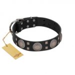 "Sun in Shining" Modern FDT Artisan Black Leather Mastiff Collar with Studs and Stars
