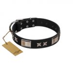 "Pitch Dark" FDT Artisan Black Leather Mastiff Collar with Stars and Plates