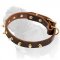 Fashionable Leather Dog Collar with Brass Spikes for Mastiff Walking