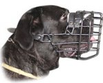 Large Wire Dog Muzzle for Cane Corso