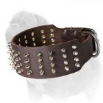 Spiked Mastiff Dog Collar Extra Wide