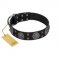 "Boundless Blue" FDT Artisan Black Leather Mastiff Collar with Chrome Plated Brooches and Square Studs