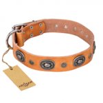 "Twinkle Twinkle" FDT Artisan Incredible Studded Tan Leather Mastiff Collar