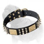 Leather Dog Collar with Spikes, Studs and Plates Mastiff Training/Walking