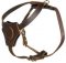 Dog Harness for small dogs/for Mastiff puppy