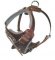 Padded Dog Harness for Mastiff - BUY Leather Dog Harness