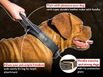 Incredibly Durable Mastiff Dog Collar with Handle