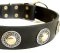 Deluxe Leather Dog Collar with jewelry for Mastiff