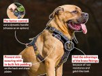 Exclusive Luxury Handcrafted Padded Leather Dog Harness