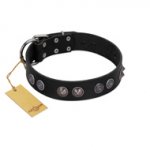 "Silver Medallions" Mod FDT Artisan Black Leather Mastiff Collar with Round Plates