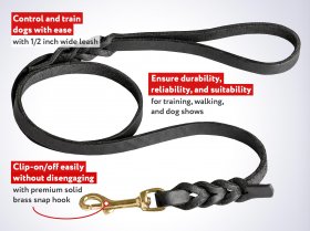 Top-Notch Quality Leather Mastiff Dog Leash