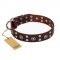 "Pirate Treasure" FDT Artisan Exciting Brown Leather Mastiff Collar with Studs