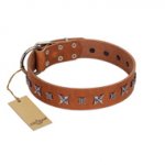 "Star Shine" Exclusive FDT Artisan Tan Leather Mastiff Collar with Silver-Like Adornments